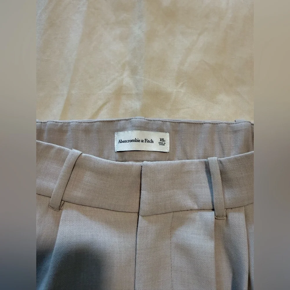 Abercrombie & Fitch Sloane Beige/Taupe Tailored Pants - Picture 3 of 4